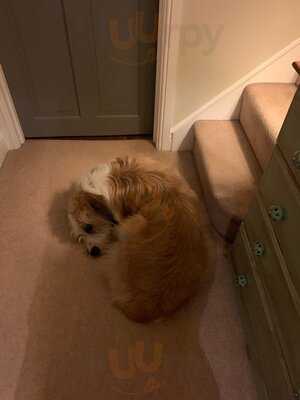 The Hart At Headless Cross