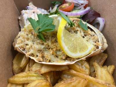 Newport Shellfish Co.