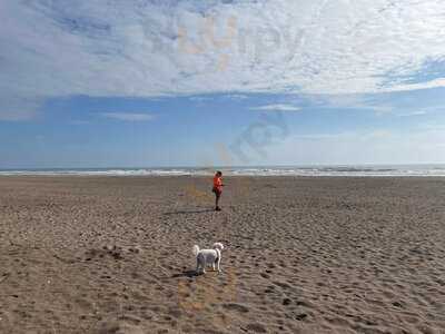 Salt And Pine Creperie