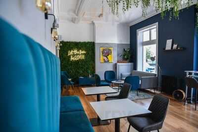 Seed | Sip Plant Based & Proud