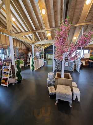 Nutshells By The Sea