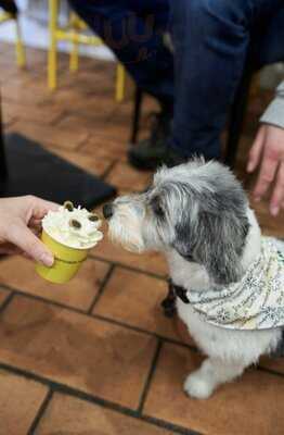Cullercoats Coffee Bistro (whitley Bay)