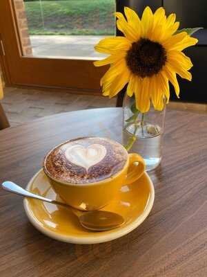 Harvey's Coffee House