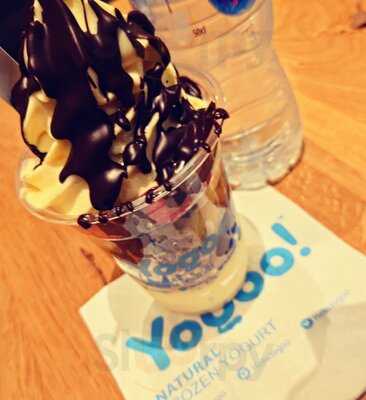 Yogoo! Natural Frozen Yogurt