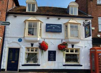 The Orange Tree