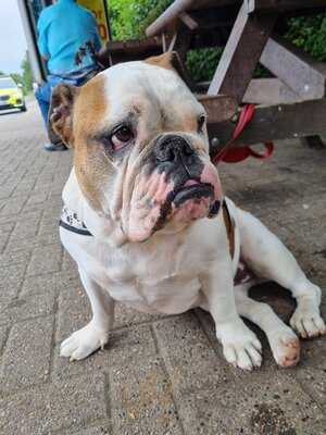 Welcome Break Sedgemoor M5