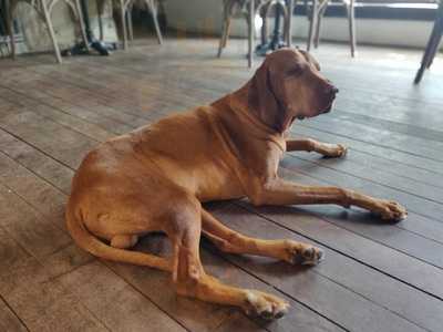 Bailey's Bar & Grill