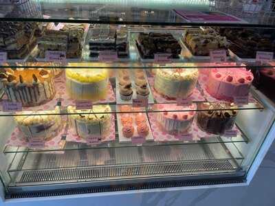 Love Lily Herrington