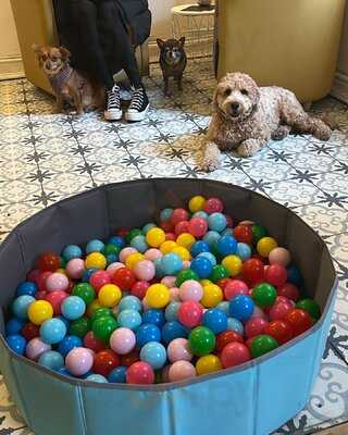 The Doghouse Cafe Chester