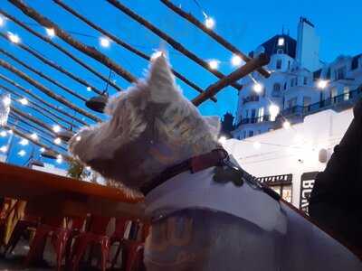 Brewing Brothers At The Courtyard