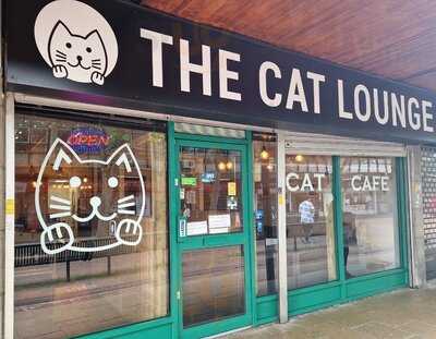 The Cat Lounge