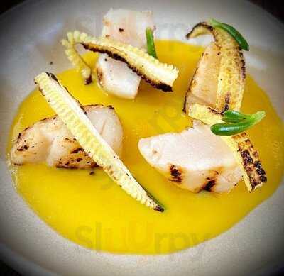 The Lucky Cat By Gordon Ramsay