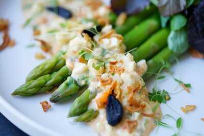 Gazette South Kensington