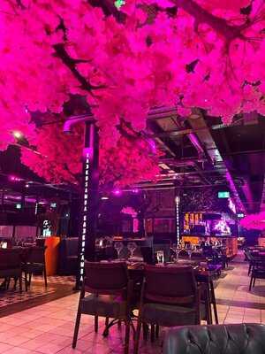 Sakkusamba- Bradford