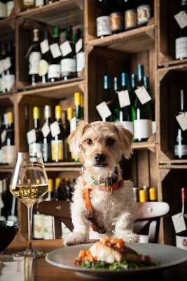 Humble Grape Crouch End