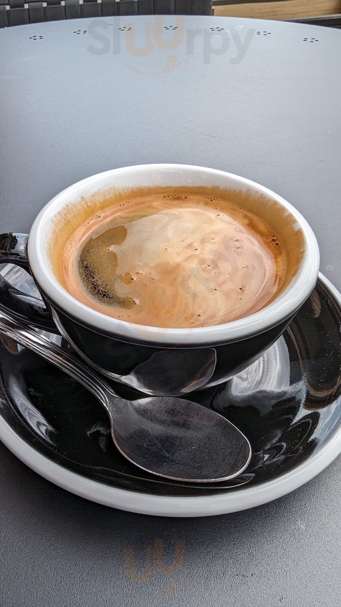 The Blue Bean Coffee Co.