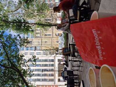 Lever & Bloom Coffee