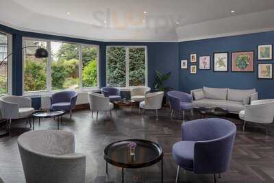 The Brassiere At The Scholar