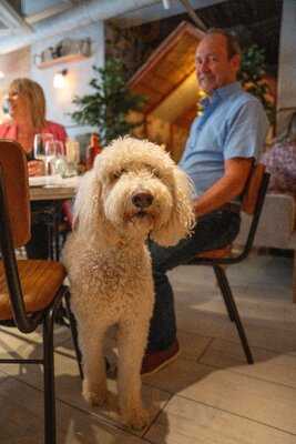 Ollie's House Restaurant