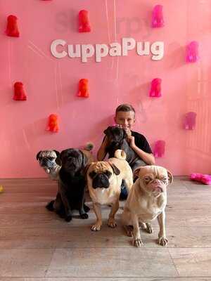 Cuppapug