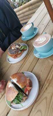 Koala Karlous Mount Batten