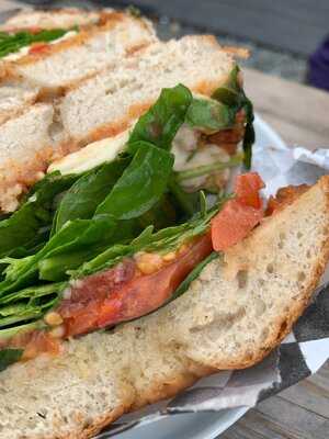 Koala Karlous Mount Batten