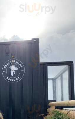 Koala Karlous Mount Batten