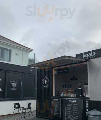 Koala Karlous Mount Batten