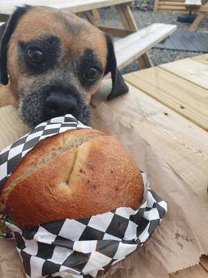 Koala Karlous Mount Batten