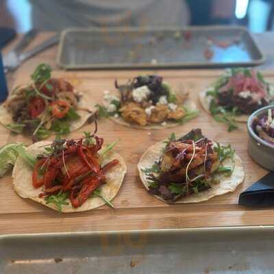 The Elephant Crossing