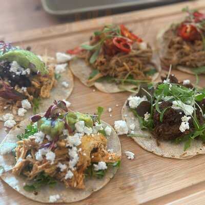 The Elephant Crossing