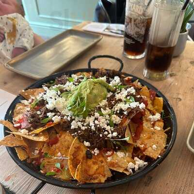 The Elephant Crossing