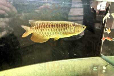 Only Yu Oriental Cuisine