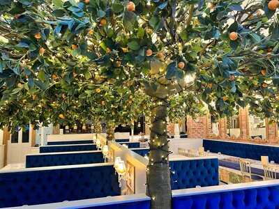 The Chubby Cherub Lisburn Road