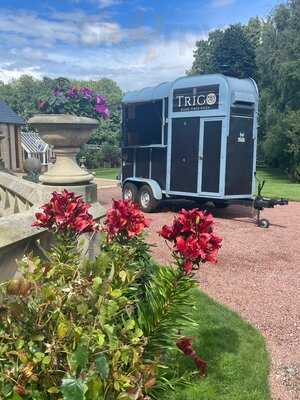 Trigo Wood Fired Pizza