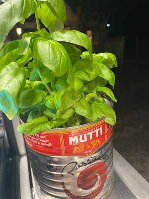 Nidge's Artisan Pizza Kitchen