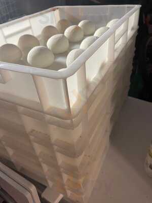 Nidge's Artisan Pizza Kitchen