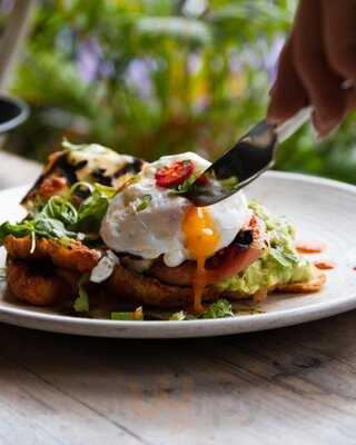 Herringbone Abbeyhill