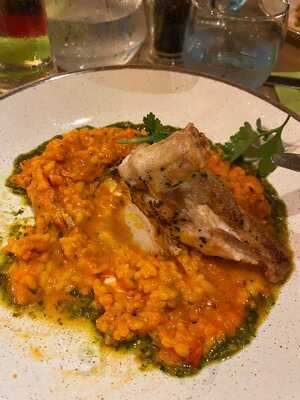 Ego At The Flying Fox