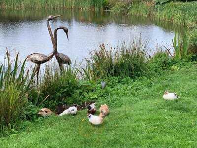 Harperley Hall Plant Centre