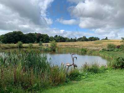 Harperley Hall Plant Centre