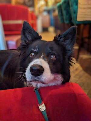 Decanter Winery & Dinery