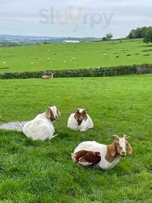 The Hideout @ Harper Farm