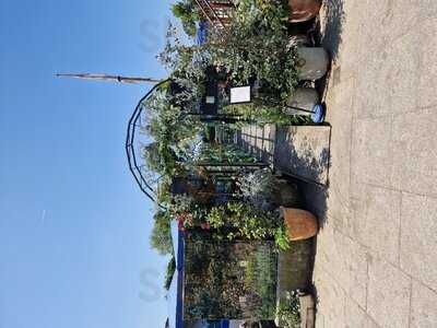 Peggy Jean At Riverside Green