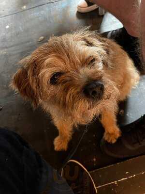 Ormskirk Food & Drink Market