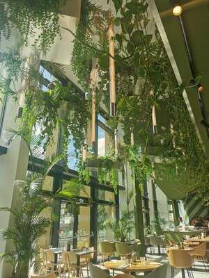 Benugo Bar & Kitchen