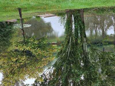 Alpaca Meadows And Cafe