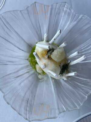 Studio Franzten London