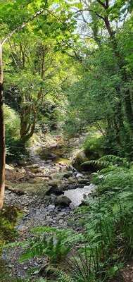 The Laxey Glen