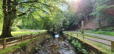 The Laxey Glen